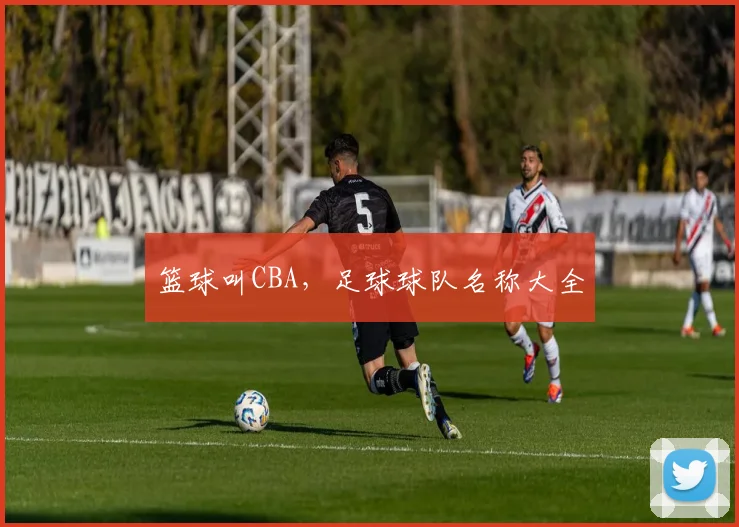 篮球叫CBA,足球球队名称大全
